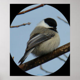 Póster B43 Frango com tampão preto
