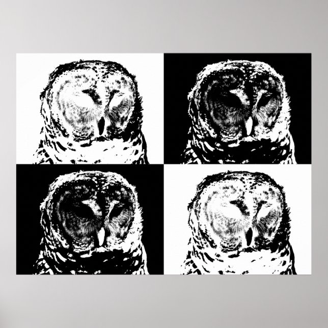 Póster B/W Barred Owl Pop Art (Frente)