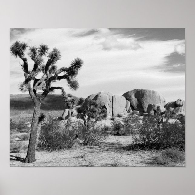 Poster B&W Joshua Tree Parque Nacional (Frente)
