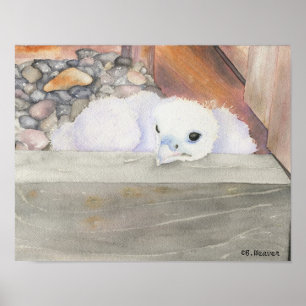 Póster B.Weaver Orion design de 14" x 11"