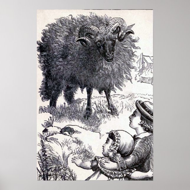 Póster "Baa Baa Ovelha Negra" Ilustração Vintage (Frente)