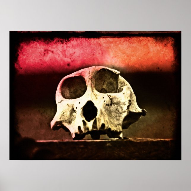 Poster Baboon Skull Sunset Art (Frente)