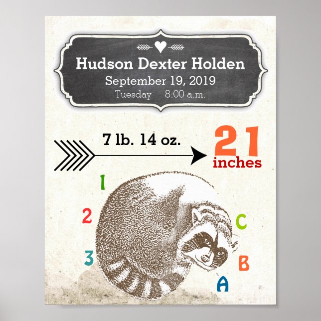Poster Baby Boy Birds Stats Cute Raccoon and Arrow (Frente)