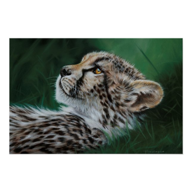 Póster Baby Cheetah Fine Art Print 71x47cm (Frente)