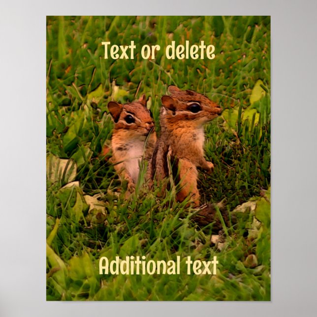 Poster Baby Chipmunks Animal Art Personalizado (Frente)