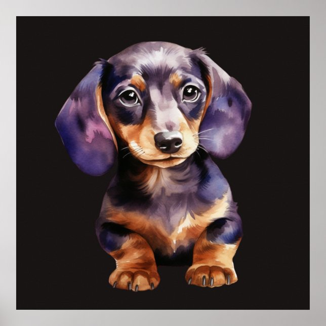 Poster Baby Dachshund (Frente)