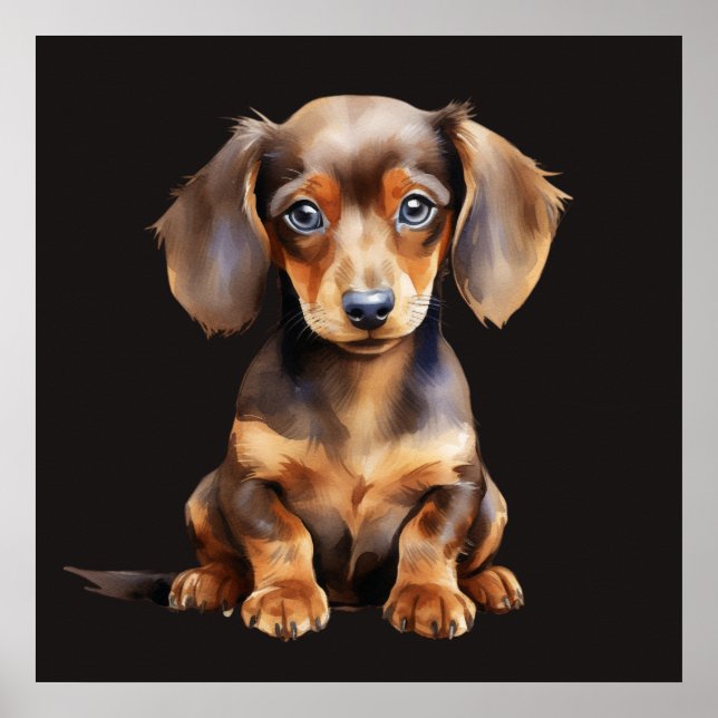 Poster Baby Dachshund (Frente)