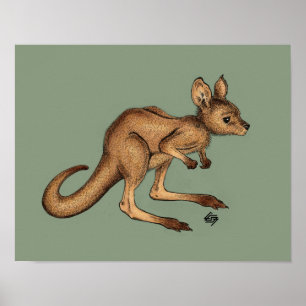 Póster Baby Kangaroo/ Joey sobre fundo verde