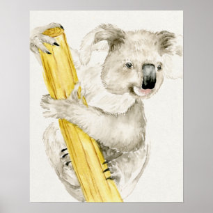 Poster Baby Koala Cuta e Furto