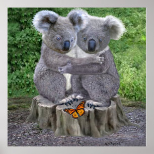 PÓSTER BABY KOALA HUGGIES