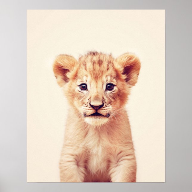 Poster Baby Lion (Frente)