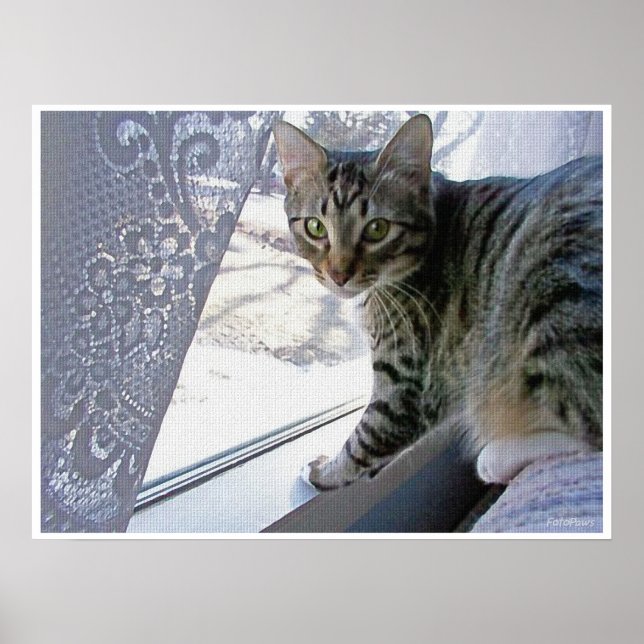 Poster Baby Max (Frente)