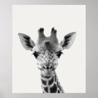 Baby Safari African Selgle Animal Giraffe