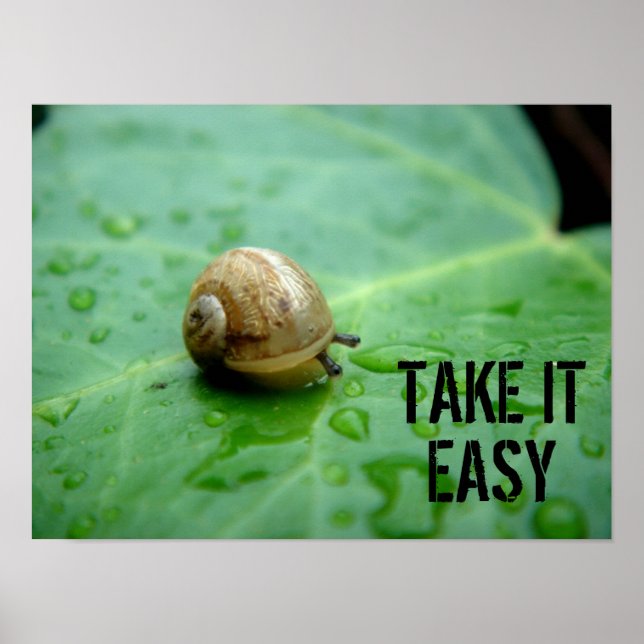 Póster Baby Snail (Frente)