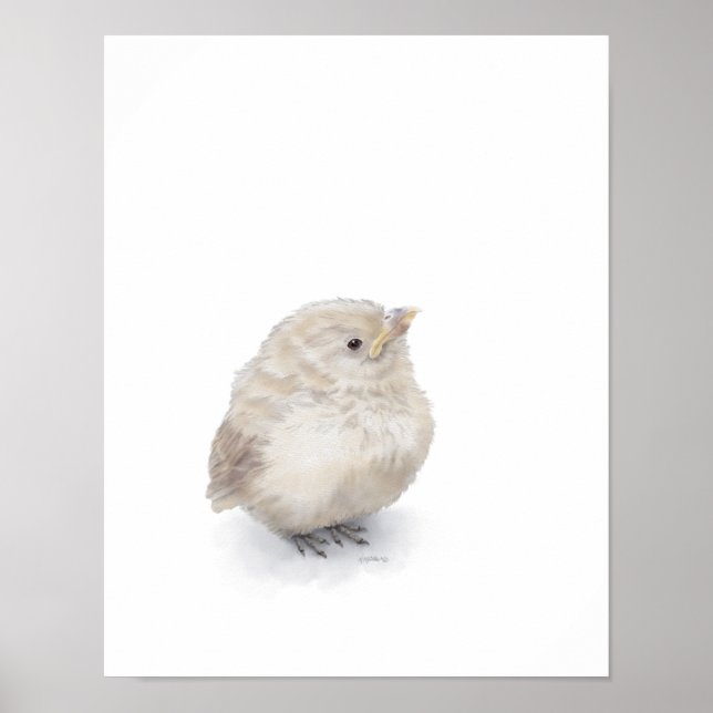 Póster Baby Sparrow Digital Watercolor (Frente)
