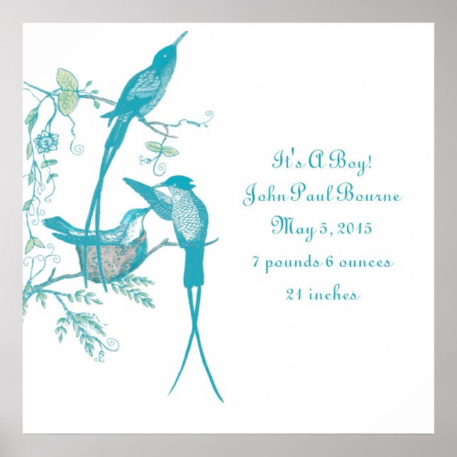 Póster Baby Stats é um garoto! Novo lançamento do bebê (Frente)