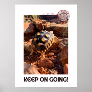 Poster Baby Sulcata caminhando na Arizona Sedona Red Rock