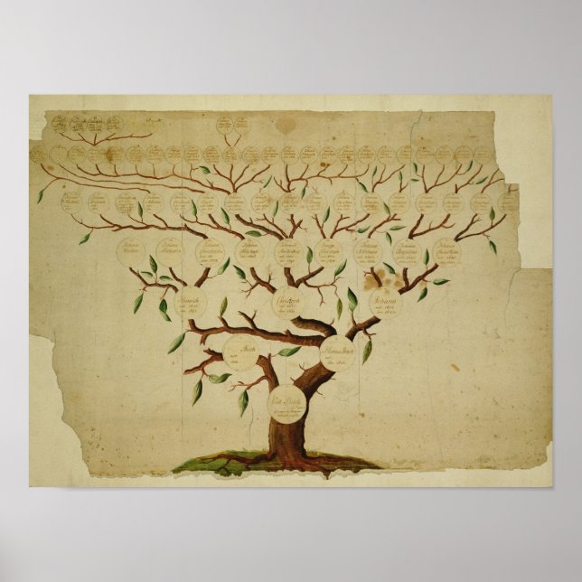Poster Bach Family Tree, c.1750-1770 (Frente)