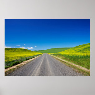 Poster Backcountry road through Spring Canola Fields