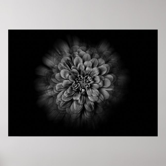 Poster Backyard Flowers In Black And White No 54 Flow (Frente)