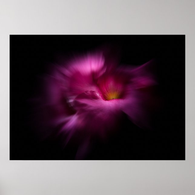 Poster Backyard Flowers No 2 Color Flow Version (Frente)
