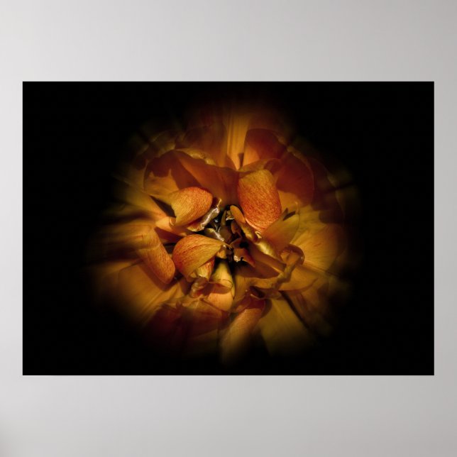 Poster Backyard Flowers No 80 Color Flow Version (Frente)