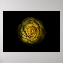 Poster Backyard Flowers No 85 Color Version