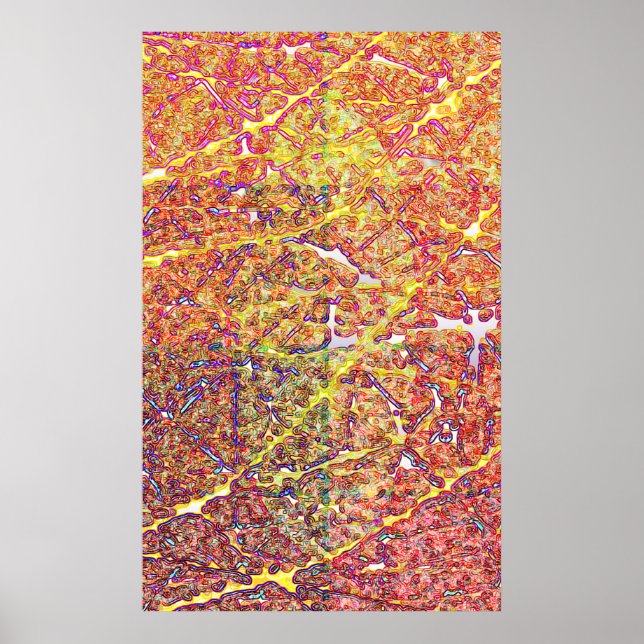 Póster Bactéria (Frente)