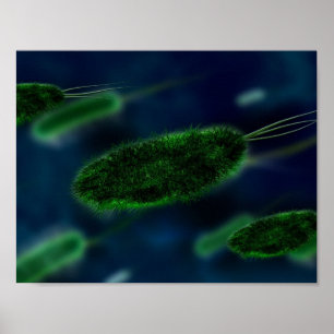 Poster Bacteria Microbes