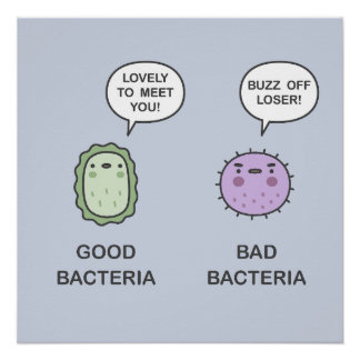 Póster Bacterias Boas, Bactérias Más