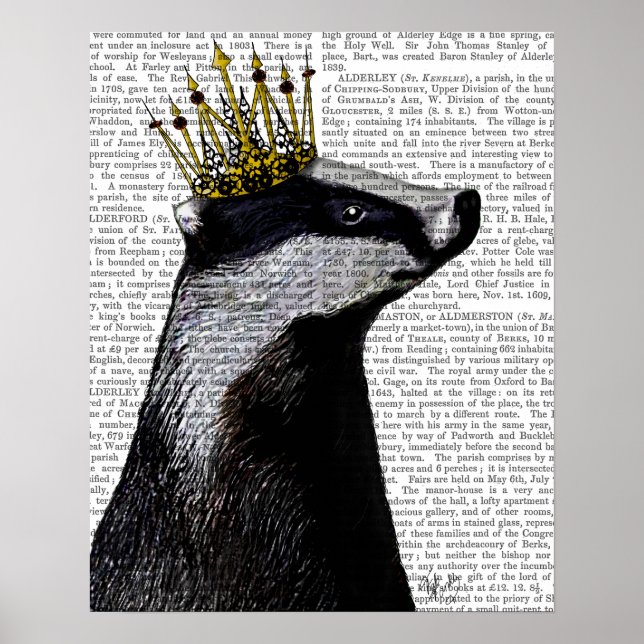 Póster Badger King (Frente)