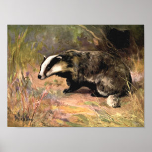 Poster Badger por EC Swan, Vintage Forest Animais