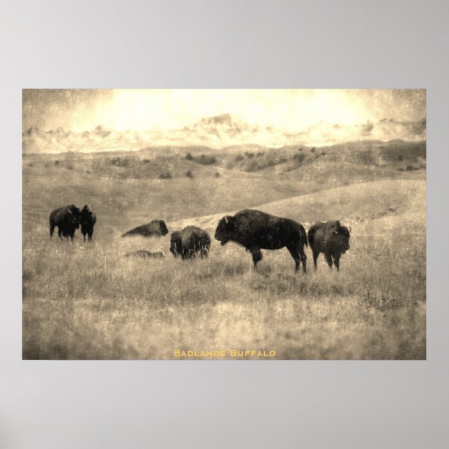 Póster Badlands Bison (Frente)