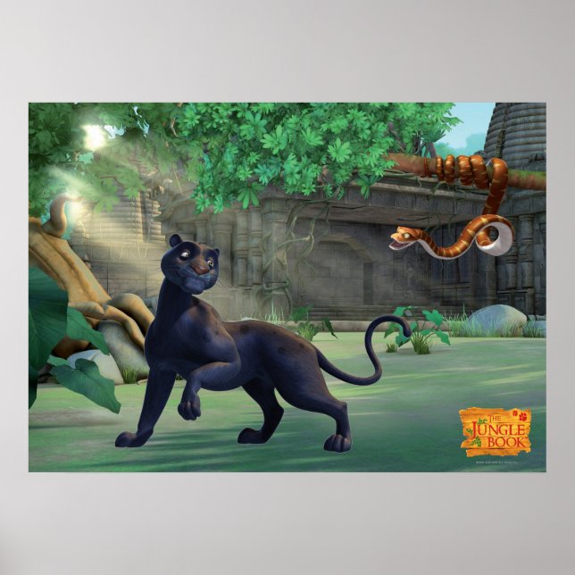 Póster Bagheera 3 2 (Frente)