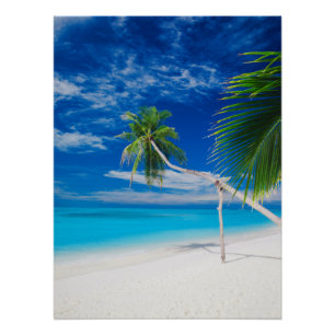 Póster Bahamas exóticas tropicais azuis Palms de praia