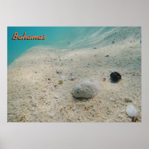 Póster Bahamas subaquáticas