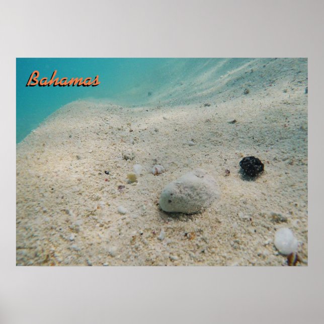 Póster Bahamas subaquáticas (Frente)