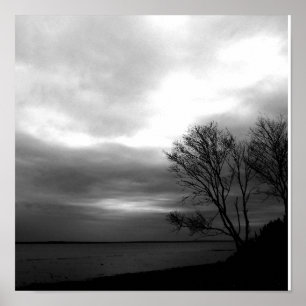 Póster Baía De Fundy