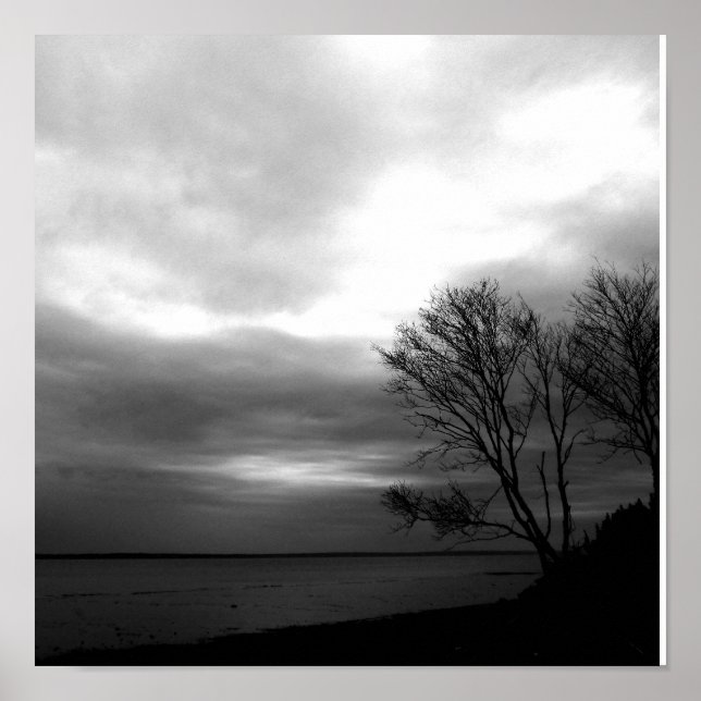 Póster Baía De Fundy (Frente)