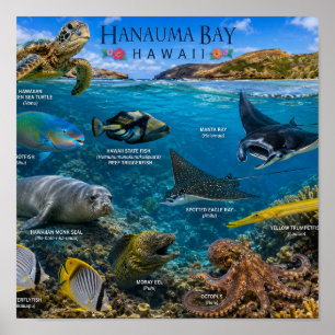 Poster Baía de Hanauma no Havaí
