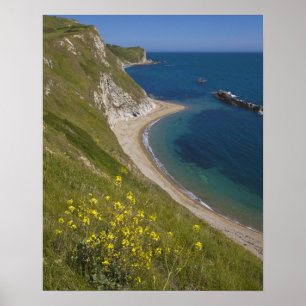 Póster Baía de Man o War, Costa Jurássica, Lulworth, Dors