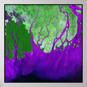 Poster Baía do delta de Ganges de Bengal