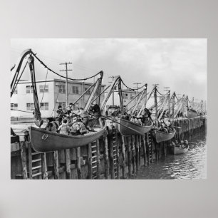 Póster Baía do Sheepshead