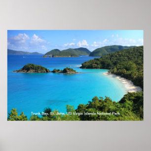 Póster Baía do tronco, St John, parque nacional de Virgi