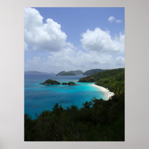 Póster Baía do tronco, St John, USVI