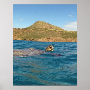 Póster Baía Havaí de Hanauma