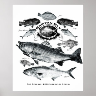 Póster baía raritan