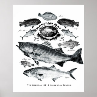 Póster baía raritana