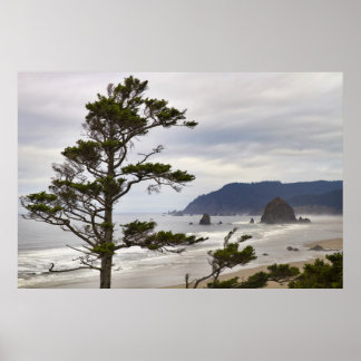 Póster Baixo curso de Cannon Beach no Oceano Pacífico Ore