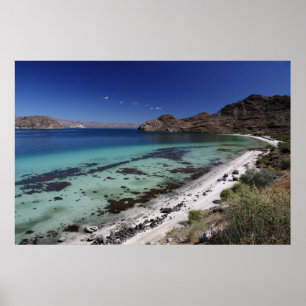 Póster Baja Conception Bay